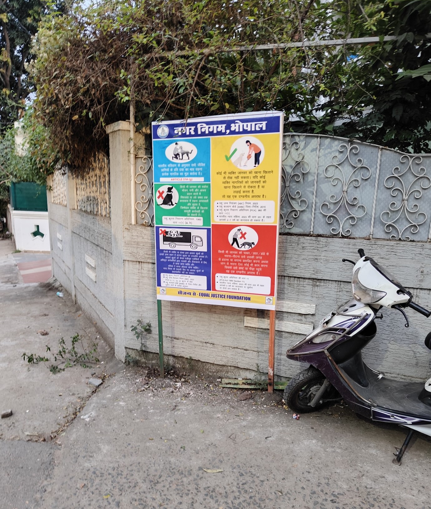 Public Awareness Hoardings on Animal Rights — Bhopal
